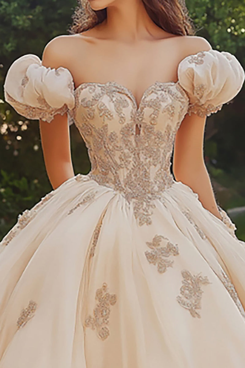 Laden Sie das Bild in den Galerie-Viewer, Prinzessin Blush Ballkleid Schulterfreies Quinceanera Kleid aus Tüll mit Applikationen