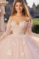 Laden Sie das Bild in den Galerie-Viewer, Prinzessin Rosa Ballkleid Schulterfrei Quinceanera Kleid aus Tüll mit langen Ärmeln und Spitzenapplikationen