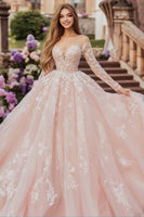 Laden Sie das Bild in den Galerie-Viewer, Rosa Ballkleid Herzausschnitt Tüll Appliziertes Quinceanera Kleid mit langen Ärmeln