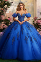 Laden Sie das Bild in den Galerie-Viewer, Schulterfreies Ballkleid Königsblaues Appliziertes Quinceanera-Kleid
