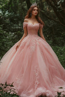 Laden Sie das Bild in den Galerie-Viewer, Rosa Prinzessin Tüll Ballkleid Langes Quinceanera Kleid mit Spitze