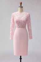 Laden Sie das Bild in den Galerie-Viewer, Blush Rosa Applikiertes Scheide Midi Mutter der Braut Kleid mit Ärmeln