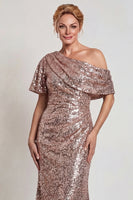 Laden Sie das Bild in den Galerie-Viewer, Glitzerndes Champagner Langes Pailletten Mutter der Braut Kleid