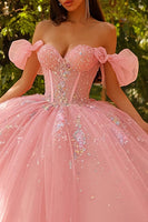 Laden Sie das Bild in den Galerie-Viewer, Glitzerndes Schulterfreies Rosa Ballkleid Quinceanera Kleid
