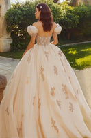 Laden Sie das Bild in den Galerie-Viewer, Prinzessin Blush Ballkleid Schulterfreies Quinceanera Kleid aus Tüll mit Applikationen