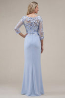 Laden Sie das Bild in den Galerie-Viewer, Blush-Samtscheide Bateau-Hals, appliquiertes langes Mutter-der-Braut-Kleid mit 3D-Blumen