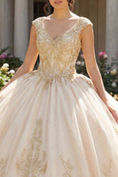 Laden Sie das Bild in den Galerie-Viewer, Champagner Applikiertes V-Hals Abschlusskleid