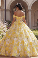 Laden Sie das Bild in den Galerie-Viewer, Gelbes Off-the-shoulder Korsett Appliquiertes Abschlusskleid