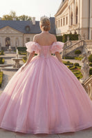 Laden Sie das Bild in den Galerie-Viewer, Rosa Halterneck Abschlusskleid mit perlenbesetztem Korsett und Puffärmeln