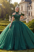 Laden Sie das Bild in den Galerie-Viewer, Dunkelgrünes Neckholder Applikationen Glitzer Abschlusskleid
