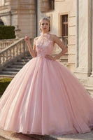 Laden Sie das Bild in den Galerie-Viewer, Ballkleid Blush Neckholder Applikiertes Abschlusskleid