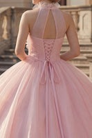 Laden Sie das Bild in den Galerie-Viewer, Ballkleid Blush Neckholder Applikiertes Abschlusskleid