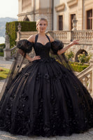 Laden Sie das Bild in den Galerie-Viewer, Ballkleid Neckholderhals Applikation Schwarzes Perlenbesetztes Abschlusskleid mit Puffärmeln