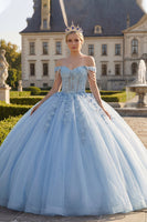 Laden Sie das Bild in den Galerie-Viewer, Hellblaues Schulterfreies Appliquiertes Korsett Abschlusskleid