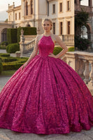 Laden Sie das Bild in den Galerie-Viewer, Glitzerndes Fuchsiafarbenes Neckholder Pailletten Abschlusskleid