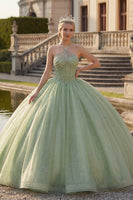 Laden Sie das Bild in den Galerie-Viewer, Ballkleid Mintgrün Neckholderhals Korsett Glitzer Abschlusskleid