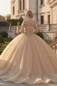 Off-the-shoulder Ballkleid Champagner Applikiertes Blumen Abschlusskleid