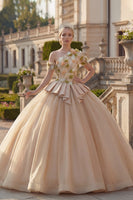 Laden Sie das Bild in den Galerie-Viewer, Champagner Ballkleid Einschulter Appliquiertes Abschlusskleid
