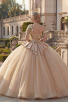 Laden Sie das Bild in den Galerie-Viewer, Champagner Ballkleid Einschulter Appliquiertes Abschlusskleid