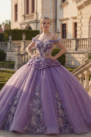Laden Sie das Bild in den Galerie-Viewer, Schulterfreies Lila Appliziertes Gerafftes Abschlusskleid