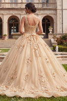 Laden Sie das Bild in den Galerie-Viewer, Champagnerballkleid mit V-Ausschnitt appliquiertes Quinceañera-Kleid