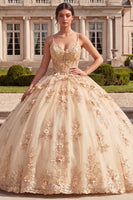 Laden Sie das Bild in den Galerie-Viewer, Ballkleid, Korsett, Champagner-Quinceañera-Kleid mit 3D-Blumen