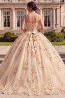 Laden Sie das Bild in den Galerie-Viewer, Ballkleid, Korsett, Champagner-Quinceañera-Kleid mit 3D-Blumen
