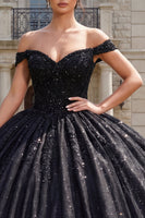 Laden Sie das Bild in den Galerie-Viewer, Ballkleid, schwarzes Korsett, schulterfreies Quinceañera-Kleid