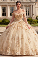 Laden Sie das Bild in den Galerie-Viewer, Korsett-Champagner-Off-the-Shoulder-Ballkleid Quinceañera-Kleid mit 3D-Blumen