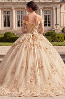 Laden Sie das Bild in den Galerie-Viewer, Korsett-Champagner-Off-the-Shoulder-Ballkleid Quinceañera-Kleid mit 3D-Blumen