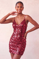 Laden Sie das Bild in den Galerie-Viewer, Glitzerndes silbernes Bodycon Spitzen-Kurzes Homecoming-Kleid mit Pailletten hinten