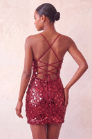Laden Sie das Bild in den Galerie-Viewer, Glitzerndes silbernes Bodycon Spitzen-Kurzes Homecoming-Kleid mit Pailletten hinten