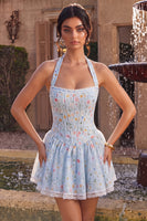 Laden Sie das Bild in den Galerie-Viewer, Himmelblaues A-Line Neckholder-Korsett, Blumen-Kurzes Homecoming-Kleid mit Rüschen