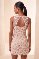 Laden Sie das Bild in den Galerie-Viewer, Blush Bodycon Rundhals Kurzes Abendkleid mit Perlen