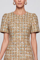 Laden Sie das Bild in den Galerie-Viewer, Champagner kariertes Tweed‑Minikleid mit Puffärmeln