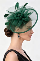 Laden Sie das Bild in den Galerie-Viewer, Champagner Crinoline Blumennetz Fascinatorhut mit Federn