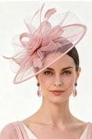 Laden Sie das Bild in den Galerie-Viewer, Champagner Crinoline Blumennetz Fascinatorhut mit Federn