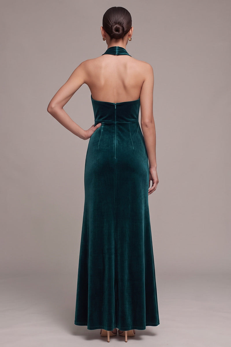Laden Sie das Bild in den Galerie-Viewer, Pfauen Neckholder Scheide Maxi Samtkleid