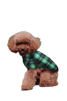 Laden Sie das Bild in den Galerie-Viewer, Grün und Weiß Frohe Weihnachten Familie Pyjama-Sets