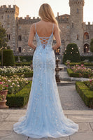 Laden Sie das Bild in den Galerie-Viewer, Mermaid Blush Spaghettiträger Ballkleid mit Applikationen