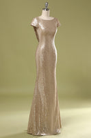 Laden Sie das Bild in den Galerie-Viewer, Langes Pailletten Rückenfrei Ballkleid