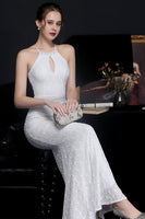 Laden Sie das Bild in den Galerie-Viewer, Silber Neckholder Pailletten Partykleid