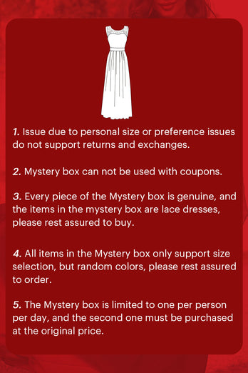 ZAPAKA MYSTERY BOX 2 x Spitzenkleider