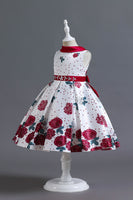 Laden Sie das Bild in den Galerie-Viewer, A Linie Jewel Hals Blau bedrucktes Mädchen Kleid