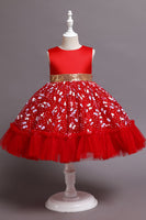 Laden Sie das Bild in den Galerie-Viewer, A LinIe Jewel Hals Rosa Mädchen Party Kleid mit Applikationen