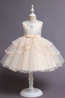 Laden Sie das Bild in den Galerie-Viewer, Rosa A-Linie Applikationen ärmelloses Rundhalsausschnitt Mädchen Kleider