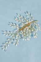 Laden Sie das Bild in den Galerie-Viewer, Silber Perle Braut Haarspange